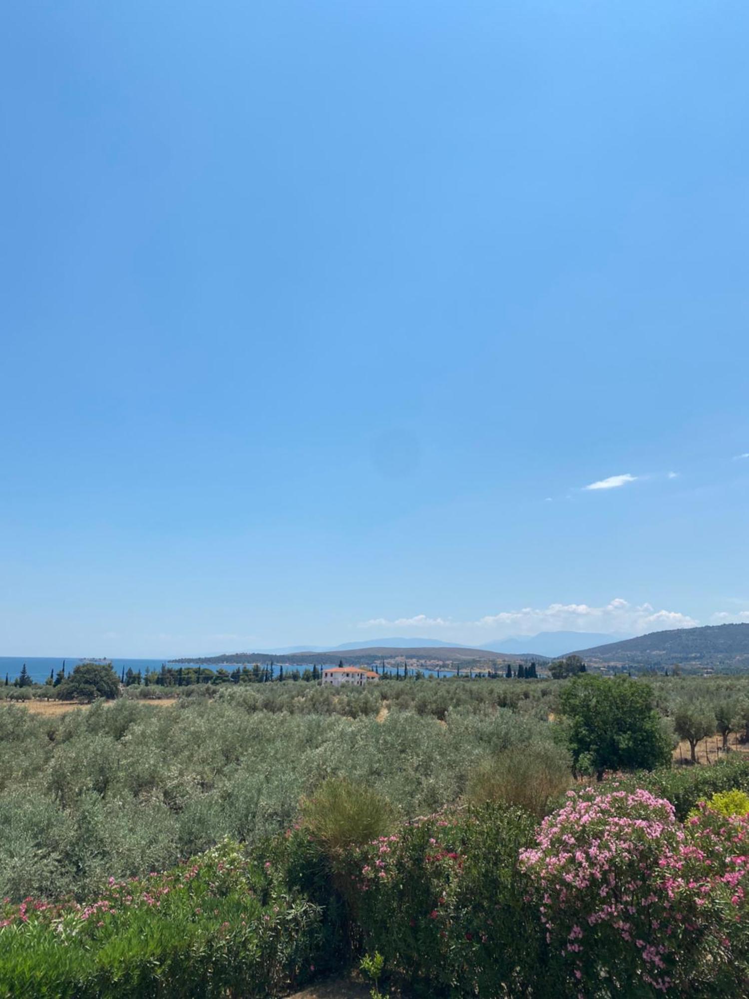 Georges Villa Galaxidi, Family, Pool And Garden Екстер'єр фото