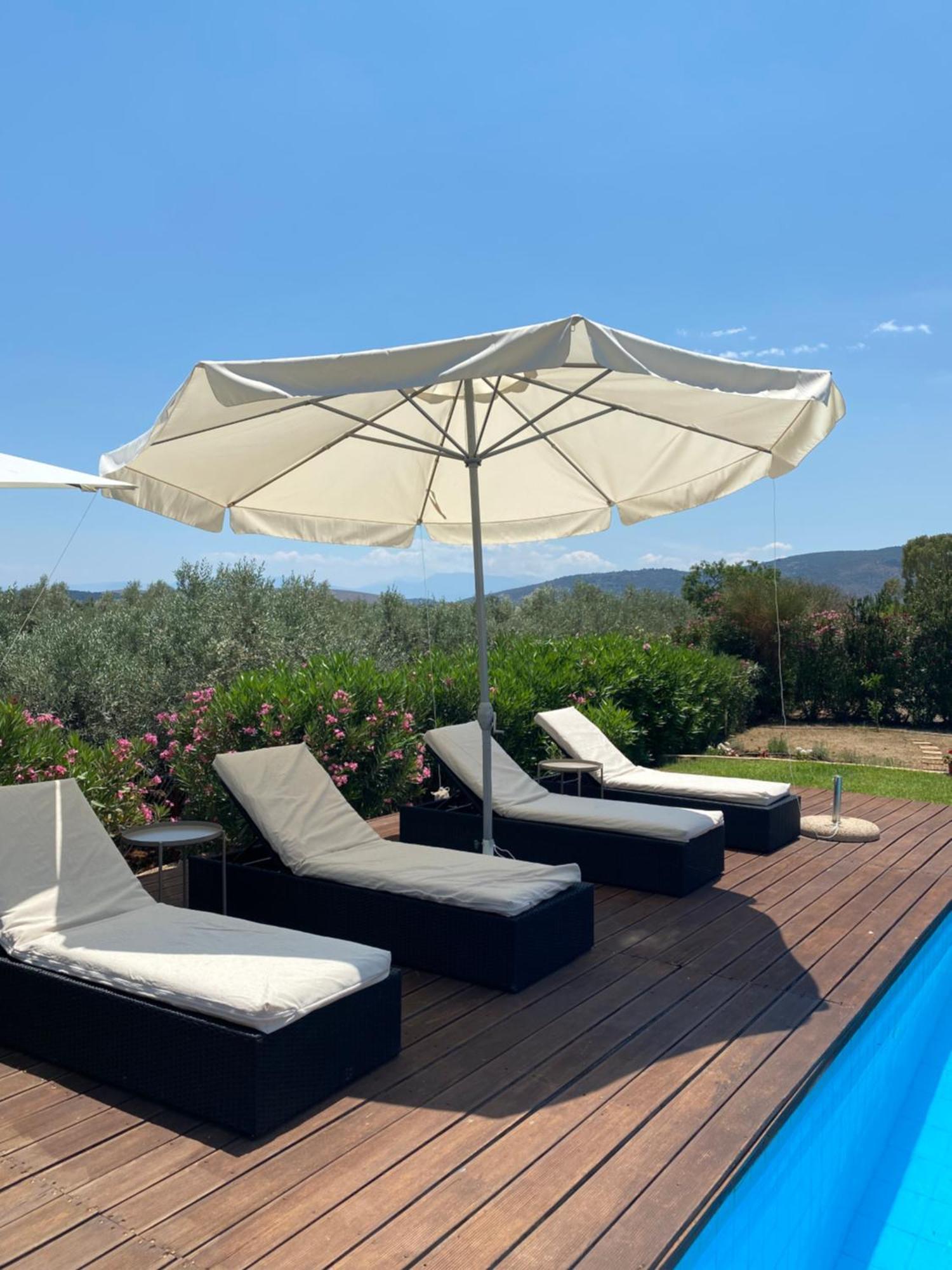 Georges Villa Galaxidi, Family, Pool And Garden Екстер'єр фото