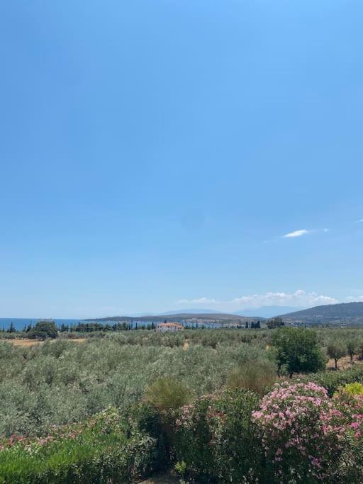 Georges Villa Galaxidi, Family, Pool And Garden Екстер'єр фото