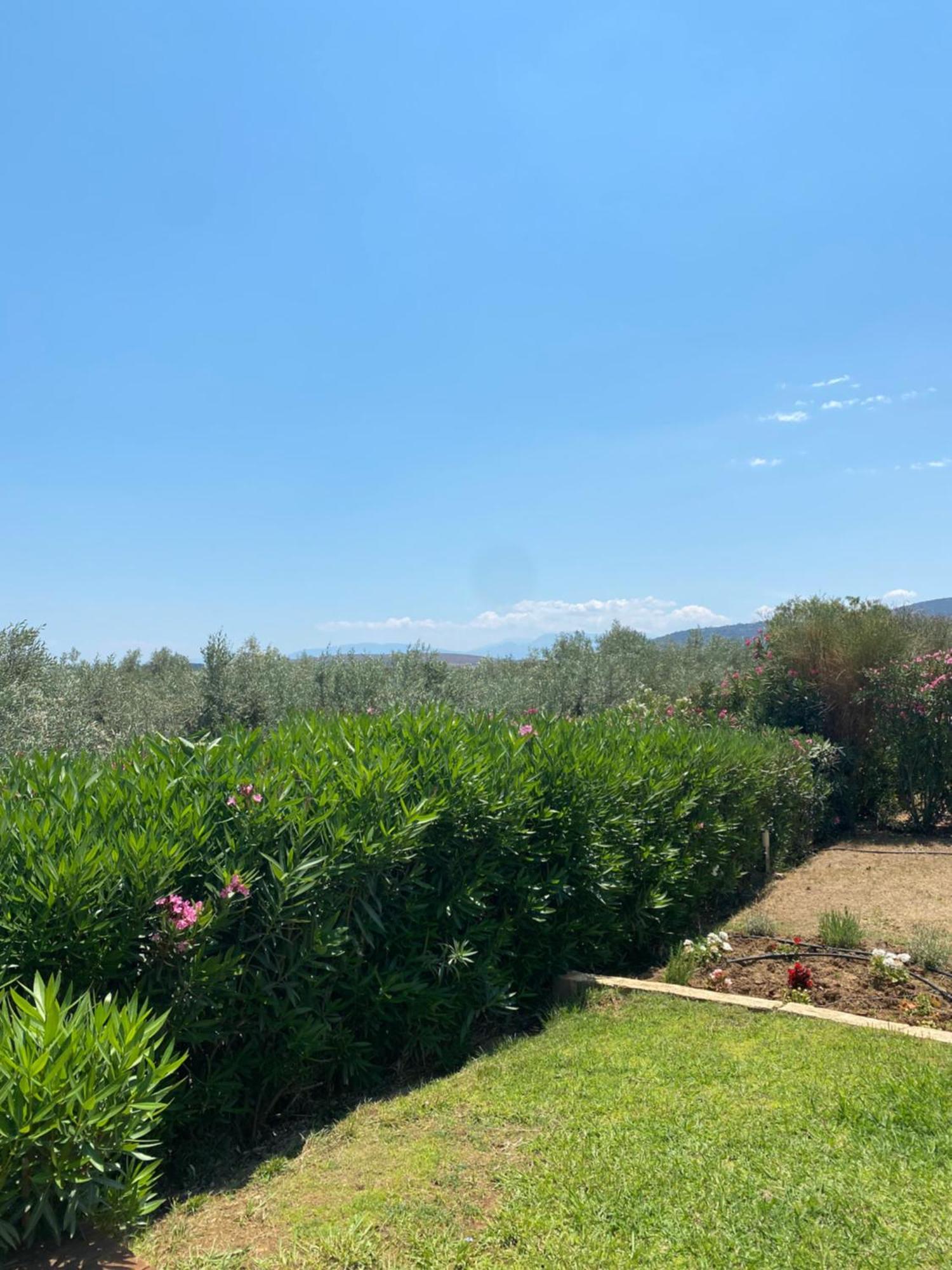Georges Villa Galaxidi, Family, Pool And Garden Екстер'єр фото