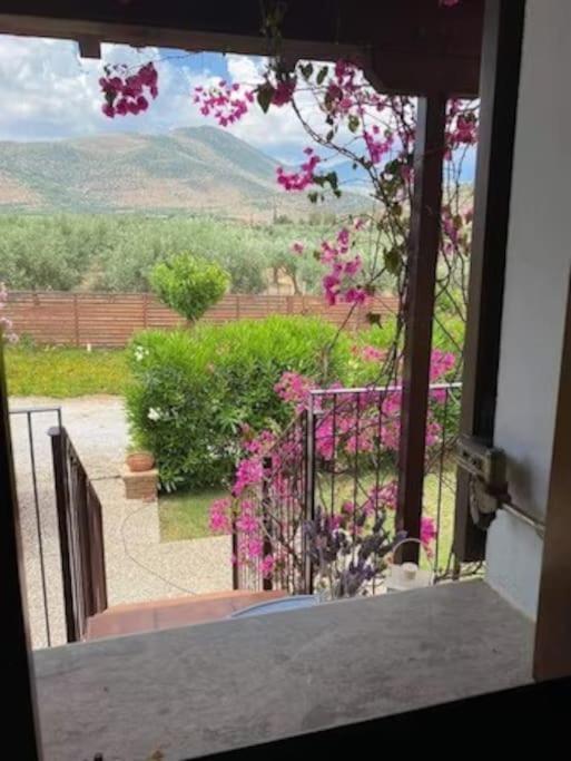Georges Villa Galaxidi, Family, Pool And Garden Екстер'єр фото