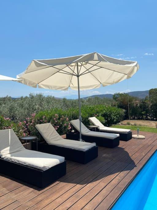 Georges Villa Galaxidi, Family, Pool And Garden Екстер'єр фото