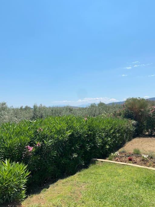 Georges Villa Galaxidi, Family, Pool And Garden Екстер'єр фото