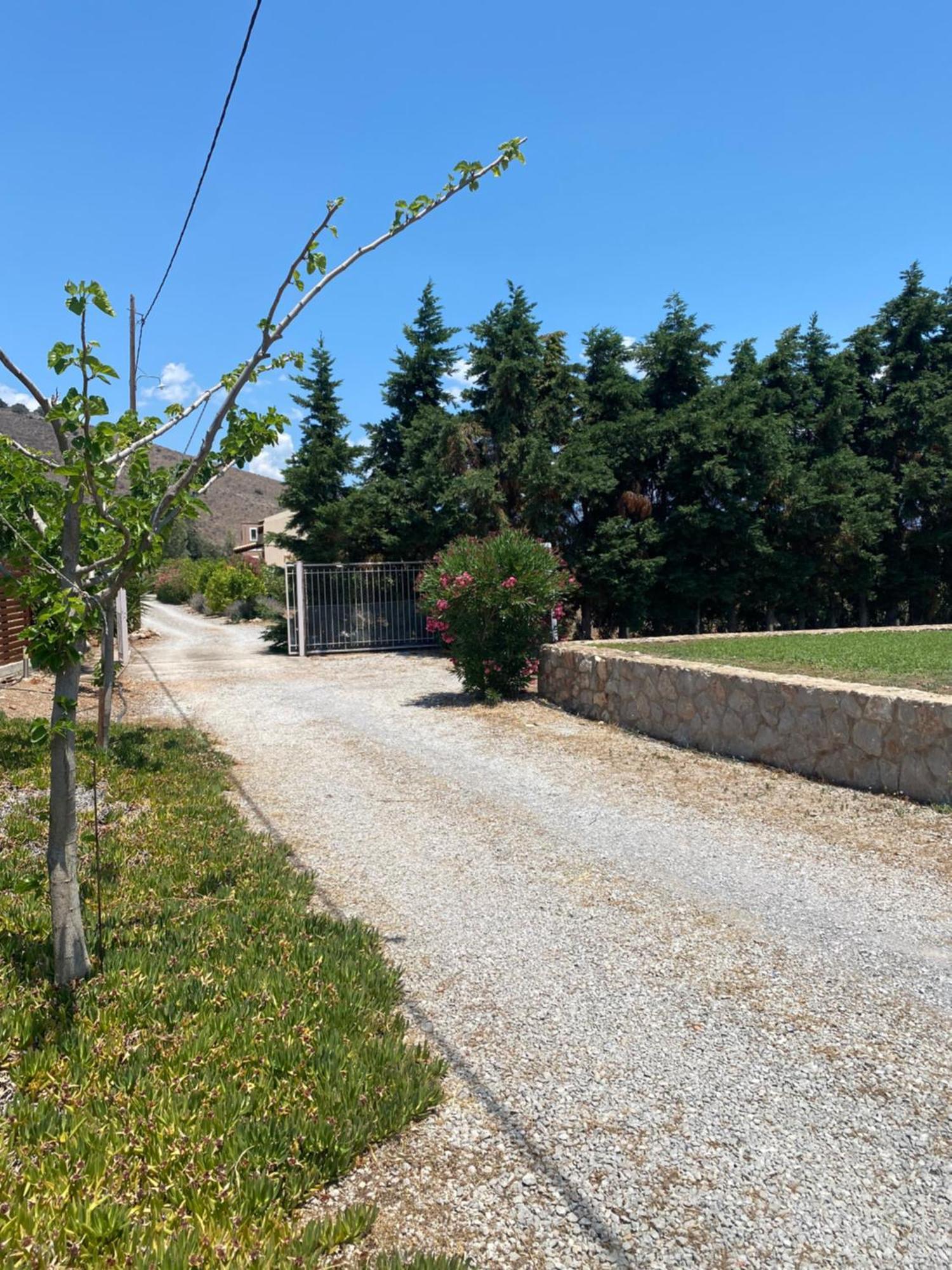 Georges Villa Galaxidi, Family, Pool And Garden Екстер'єр фото